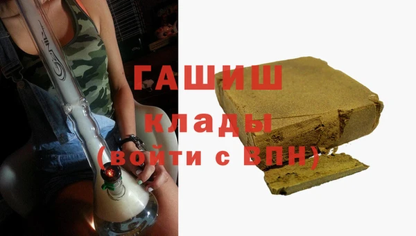 шишки Осинники