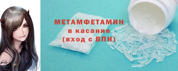 шишки Осинники