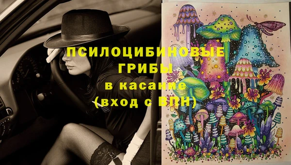 шишки Осинники